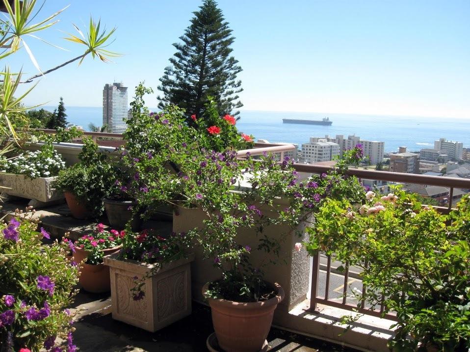 123 Ocean View Drive Apartment ケープタウン エクステリア 写真
