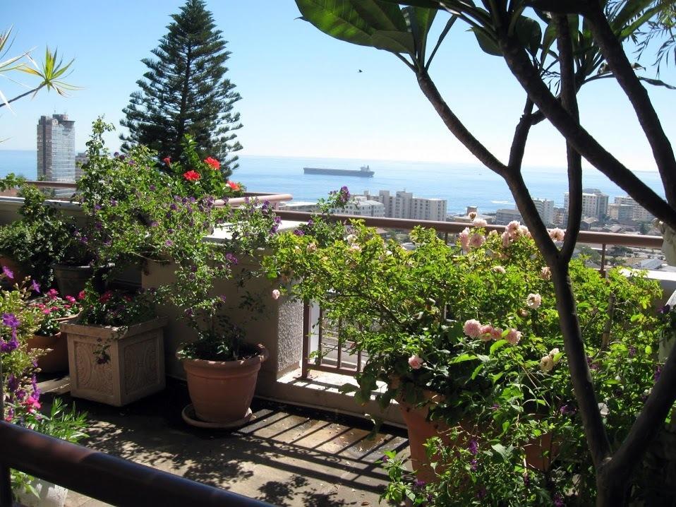 123 Ocean View Drive Apartment ケープタウン エクステリア 写真